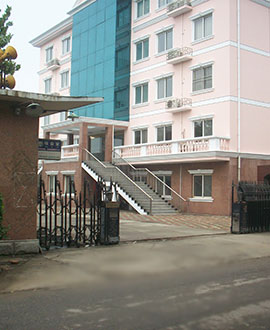 新聞動態(tài)